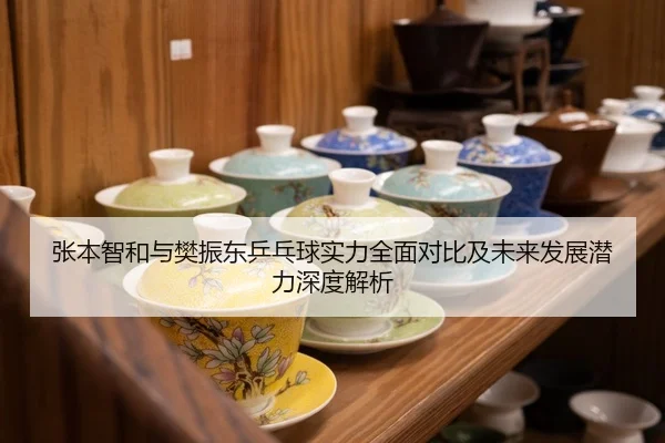 张本智和与樊振东乒乓球实力全面对比及未来发展潜力深度解析
